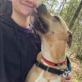 Voyageuse-amoureuse-des-animaux-1158589-3
