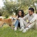 https://fr.holidog.com/ImagesPetSitters/7BD22C2C-3752-4F99-B9E0-FB2FF6CBE5BD_square_120.jpg Petsitting-doux-et-attentionné-1114186-0
