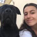 https://fr.holidog.com/ImagesPetSitters/7C41161D-9D7A-4C2F-9A12-5F3BFF91FC82_square_120.jpg Petsitter-idéale-pour-vos-protégés--435641-3