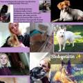 https://fr.holidog.com/ImagesPetSitters/7D86FB96-7FC3-488F-9719-29CF07D55832_square_120.jpg Elodogpetsitter@gmail.com-1002025-1