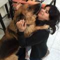 https://fr.holidog.com/ImagesPetSitters/81041D00-907F-45A3-99BD-26C04EE192D1_square_120.jpg Pour-l'amour-des-animaux-530173-1