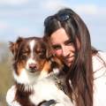 petsitter stranger