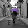 https://fr.holidog.com/ImagesPetSitters/8262DE10-D6A4-4959-B399-D6E8BAEF2F7E_square_120.jpg Stroll-Girl-19464-3