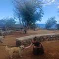 Petsitter-sérieuse-et-attentionée-1137570-3