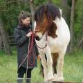 https://fr.holidog.com/ImagesPetSitters/85BF72BA-FAF0-4B8A-8CC6-2157FB50A37F_square_120.jpg Services-Animaux-Pro-1067483-1