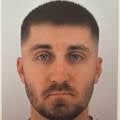 petsitter stranger
