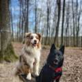https://fr.holidog.com/ImagesPetSitters/899527D5-FAA7-438C-919A-DEAE44AFF4B5_square_120.jpg 1047949-2