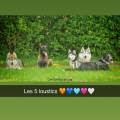 https://fr.holidog.com/ImagesPetSitters/8BDF1482-A8F7-4464-8F2B-B8D090961B58_square_120.jpg Le-paradis-des-chiens--1109264-1