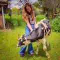 Complice-de-vos-animaux-1150199-0