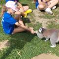 Léa-&-Giulia-:-pet-sitter-sérieuses-1142384-2