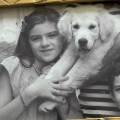 Votre-chien-entre-de-bonnes-mains💕-1167074-2