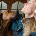Amoureuse-des-animaux-1116352-1