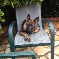 https://fr.holidog.com/ImagesPetSitters/9205F0AF-F5C3-413C-8575-DC80E0FEFECA_square_120.jpg 52766-3