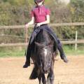 Petsitter-sérieuse-et-attentionée-1137570-1