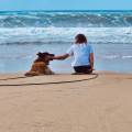 https://fr.holidog.com/ImagesPetSitters/927220E8-CEA4-4E4F-8D38-50CB006C3493_square_120.jpg L'arche-de-Noé-385499-0