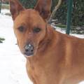 https://fr.holidog.com/ImagesPetSitters/92F9854E-80E5-4796-BABA-8FF142767B17_square_120.jpg Passionnée-d’animaux-✨-940085-0