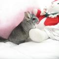 https://fr.holidog.com/ImagesPetSitters/934A8A32-8F52-4E21-9385-EAE9C055EC28_square_120.jpg Petsitter-40203-2