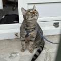 Garde-en-bonne-compagnie-1168421-3