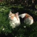 https://fr.holidog.com/ImagesPetSitters/94CC6DFB-12FA-41FE-991D-AE0AB9E61DE7_square_120.jpg Pet-sitter-attentionnée-1191109-3