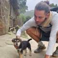 Pet-sitter-passionné--1066461-2