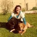 https://fr.holidog.com/ImagesPetSitters/96628CB8-5B73-4DF7-A081-6C9EBA4B7B03_square_120.jpg Le-bonheur-de-votre-poilu-62077-0
