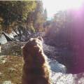 Pet-sitter-et-soigneur-animalier-357427-1