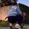 petsitter stranger