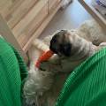 Une-nounou-pleine-d'amour-1038519-2