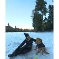 Pet-sitter-passionnée--1123903-0