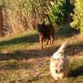 En-campagne-369557-2