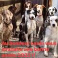 Au-Bonheur-Canin--704466-0