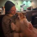 Petsitting-sur-annecy-et-alentours--1158558-0