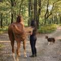 https://fr.holidog.com/ImagesPetSitters/9D09DCF8-9EB2-40E3-A7FC-FB09FAAF7E62_square_120.jpg Le-paradis-des-animaux--767849-2