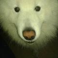 https://fr.holidog.com/ImagesPetSitters/9E9C13F5-D1BF-4FF5-B909-D8ABB947ECFC_square_120.jpg 38078-1