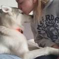 https://fr.holidog.com/ImagesPetSitters/9F3F5423-58FC-4060-B469-59D6C83C6EA4_square_120.jpg Passionné-par-les-animaux--658708-2