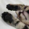 https://fr.holidog.com/ImagesPetSitters/A312DDDF-538F-40E0-8E48-7C02277C6D38_square_120.jpg 314720-1