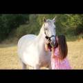 Le-paradis-des-chats-1189712-2