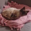 Toujours-partante-pour-une-balade-812385-2