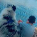 Mes-amis,-les-animaux-1177010-3