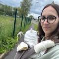 La-bonne-adresse-pour-vos-animaux--452484-0