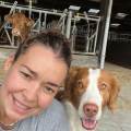 https://fr.holidog.com/ImagesPetSitters/A86D2538-05F7-4054-86B5-31985B38F4B3_square_120.jpg Amies-des-animaux--1111740-0
