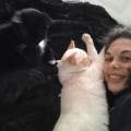 amoureuse-des-animaux-1092849-0