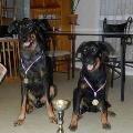 https://fr.holidog.com/ImagesPetSitters/B0BB0FD9-E501-41D6-BCEC-63B210734A5E_square_120.jpg Garde-par-Auxiliaire-vétérinaire-58618-0