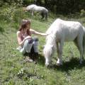 https://fr.holidog.com/ImagesPetSitters/B2596DAC-2E0F-4CDD-B930-4D308A51A433_square_120.jpg amie-des-animaux-366953-0