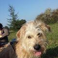 https://fr.holidog.com/ImagesPetSitters/B4C3E862-A4CD-4211-9B8C-62ACD9D88B0E_square_120.jpg Paradis-pour-chats-et-chiens--42205-1