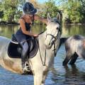 Le-repaire-des-animaux-heureux-✨-1150630-2