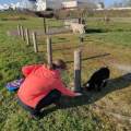 Amoureuse-des-animaux-1150290-1