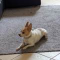 L'amour-du-4'pat-1059883-0