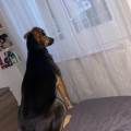 Le-mini-zoo-602899-2