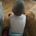 https://fr.holidog.com/ImagesPetSitters/BC966624-917A-4A8C-B41C-3D72D5E7D5F4_square_120.jpg Mes-amies-les-animaux-❤-457099-0